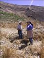 Encuesta sobre el cultivo del trigo La Angostura Misint